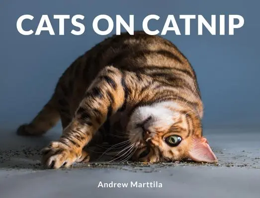 Kočky na mačacom papieri - Cats on Catnip