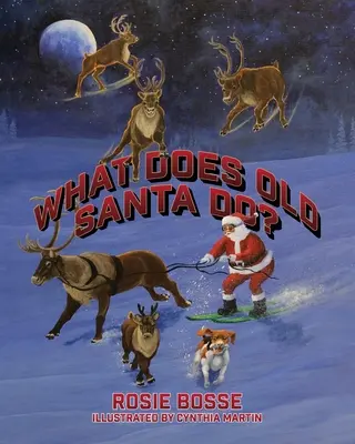 Čo robí starý Santa? - What Does Old Santa Do?