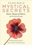 Malá kniha mystických tajomstiev: Rumi, Šams z Tabrízu a cesta extázy - A Little Book of Mystical Secrets: Rumi, Shams of Tabriz, and the Path of Ecstasy