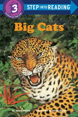 Veľké mačky - Big Cats