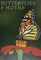 Motýle a mole - Butterflies & Moths