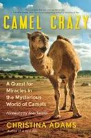 Bláznivé ťavy: Zázračné hľadanie zázrakov v tajomnom svete tiav - Camel Crazy: A Quest for Miracles in the Mysterious World of Camels