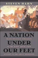 Národ pod našimi nohami: černošské politické boje na vidieckom Juhu od otroctva po veľkú migráciu - A Nation Under Our Feet: Black Political Struggles in the Rural South from Slavery to the Great Migration
