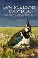 Čajky, bahniaky a mrzúti - Lapwings, Loons and Lousy Jacks