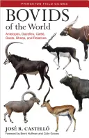 Bovidy sveta: Antilopy, gazely, hovädzí dobytok, kozy, ovce a ich príbuzní - Bovids of the World: Antelopes, Gazelles, Cattle, Goats, Sheep, and Relatives