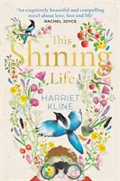 Tento žiarivý život - silný román o tom, ako si vážiť život - This Shining Life - a powerful novel about treasuring life