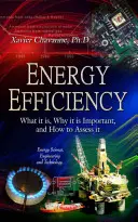 Energetická efektívnosť - čo je to, prečo je dôležitá a ako ju posúdiť - Energy Efficiency - What it is, Why it is Important, and How to Assess it