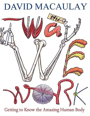Spôsob, akým pracujeme: Spoznávanie úžasného ľudského tela - The Way We Work: Getting to Know the Amazing Human Body