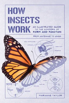 Ako funguje hmyz: Ilustrovaný sprievodca zázrakmi formy a funkcie - od tykadiel po krídla - How Insects Work: An Illustrated Guide to the Wonders of Form and Function--From Antennae to Wings