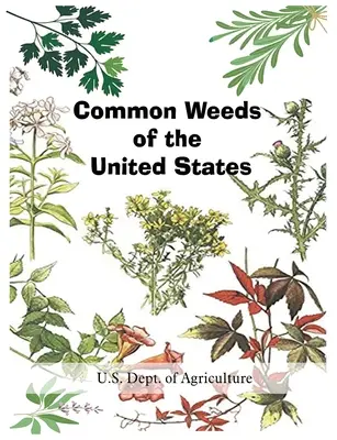 Bežné buriny Spojených štátov - Common Weeds of the United States
