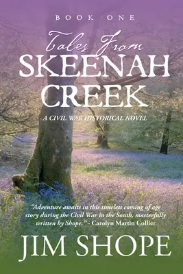 Príbehy zo Skeenah Creeku: Občianska vojna: historický román z obdobia občianskej vojny - Tales From Skeenah Creek: A Civil War Historical Fiction Novel