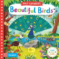 Krásne vtáky - Beautiful Birds