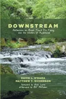 Dolu prúdom - Downstream