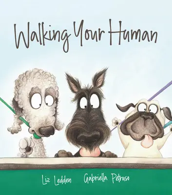 Prechádzky s človekom - Walking Your Human