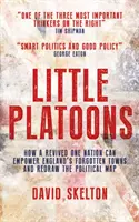 Malé čaty - Ako môže obrodený One Nation posilniť postavenie zabudnutých anglických miest a prekresliť politickú mapu - Little Platoons - How a revived One Nation can empower England's forgotten towns and redraw the political map