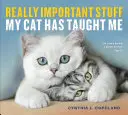 Skutočne dôležité veci, ktoré ma naučila moja mačka - Really Important Stuff My Cat Has Taught Me