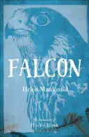 Sokol - Falcon