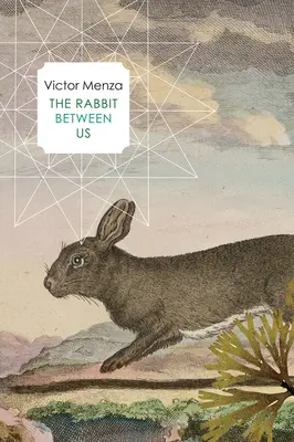Králik medzi nami - The Rabbit Between Us