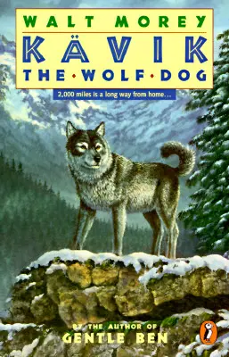 Vlčí pes Kavik - Kavik the Wolf Dog