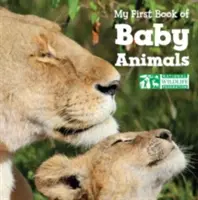 Moja prvá kniha o zvieratkách - My First Book of Baby Animals