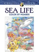 Creative Haven Kniha na vyfarbovanie podľa čísel - Creative Haven Sea Life Color by Number Coloring Book