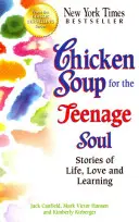 Sliepková polievka pre dušu tínedžera: Príbehy o živote, láske a učení - Chicken Soup for the Teenage Soul: Stories of Life, Love and Learning