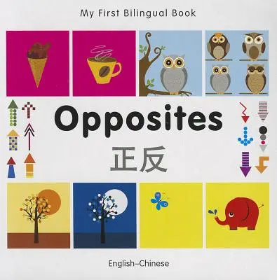 Moja prvá dvojjazyčná kniha-Opposites (anglicko-čínsky) - My First Bilingual Book-Opposites (English-Chinese)
