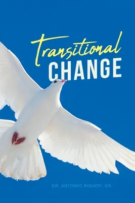 Prechodná zmena - Transitional Change