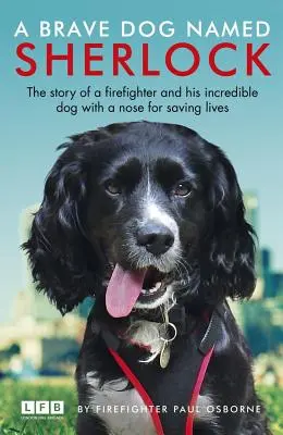 Statočný pes menom Sherlock - A Brave Dog Named Sherlock
