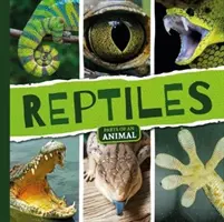 Plazy - Reptiles