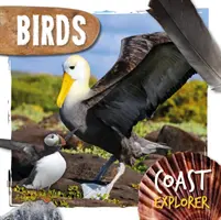 Vtáky - Birds