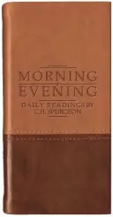 Ráno a večer - Matt Tan/Burgundy - Morning and Evening - Matt Tan/Burgundy