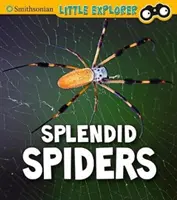Nádherné pavúky - Splendid Spiders