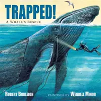 V pasci! záchrana veľryby - Trapped! a Whale's Rescue