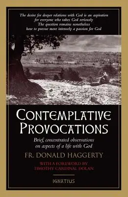 Kontemplatívne provokácie - Contemplative Provocations