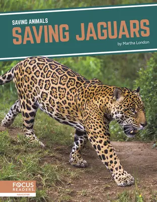 Záchrana jaguárov - Saving Jaguars