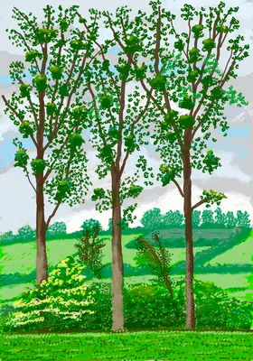 David Hockney: Príchod jari v Normandii, 2020 - David Hockney: The Arrival of Spring in Normandy, 2020