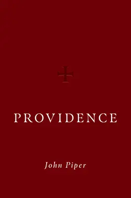 Prozreteľnosť - Providence