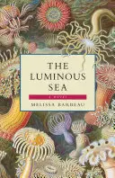 Svetelné more - The Luminous Sea