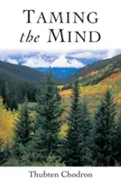 Krotenie mysle - Taming the Mind