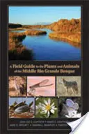 Terénny sprievodca po rastlinách a živočíchoch strednej časti Rio Grande Bosque - A Field Guide to the Plants and Animals of the Middle Rio Grande Bosque