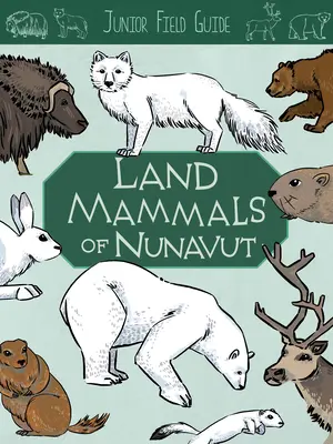 Juniorský terénny sprievodca: Pozemné cicavce: Vydanie v angličtine - Junior Field Guide: Land Mammals: English Edition