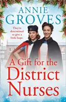 Darček pre okresné sestry (Okresné sestry, kniha 4) - A Gift for the District Nurses (the District Nurses, Book 4)