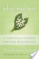 Čo bolo stratené: Kresťanská cesta cez potrat - What Was Lost: A Christian Journey Through Miscarriage