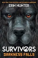 Kniha pre preživších 3: Temnota padá - Survivors Book 3: Darkness Falls