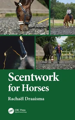 Scénická tvorba pre kone - Scentwork for Horses