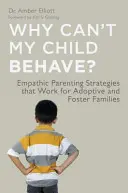 Prečo sa moje dieťa nevie správať? Empatické rodičovské stratégie, ktoré fungujú v adoptívnych a pestúnskych rodinách - Why Can't My Child Behave?: Empathic Parenting Strategies That Work for Adoptive and Foster Families