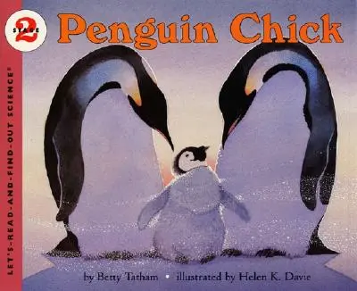 Tučniačie kuriatko - Penguin Chick