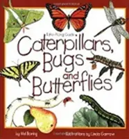 Húsenice, chrobáky a motýle: Príručka so sebou: Hmyz a hmyz, hmyz a hmyzáky. - Caterpillars, Bugs and Butterflies: Take-Along Guide