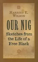Náš Nig: Črty zo života slobodného černocha - Our Nig: Sketches from the Life of a Free Black